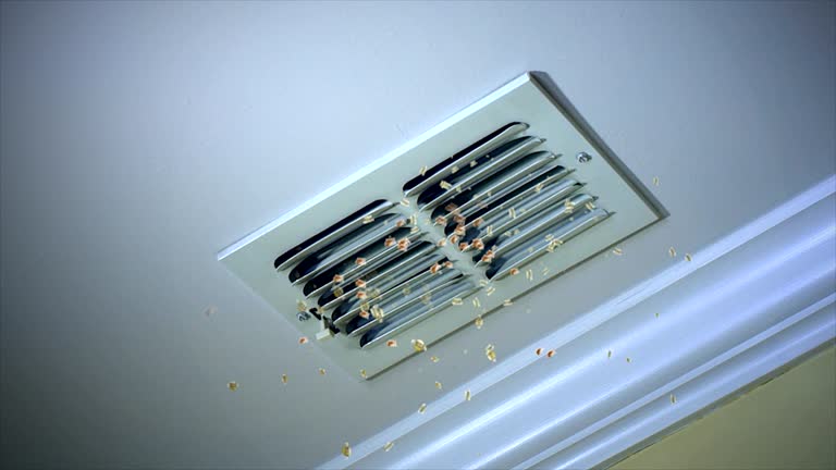 Best Air Duct Cleaning Near Me  in Monteagle, TN